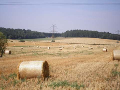 Sklizeň obilovin — fotografie 2