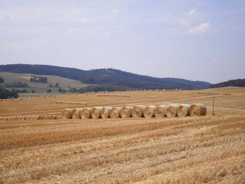 Sklizeň obilovin — fotografie 3