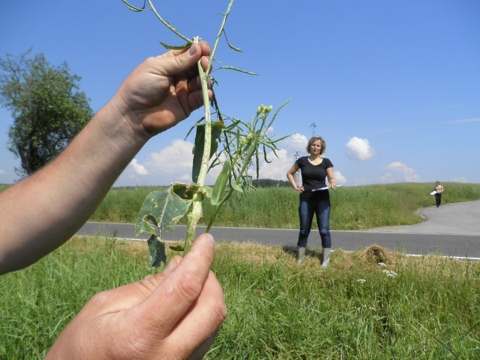 U našich zákazníků evidujeme škody na plodinách za 40 mil. Kč — fotografie 6
